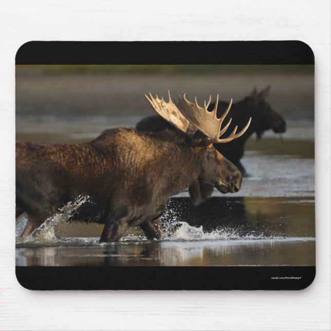 Mousepad Alces (Frente)