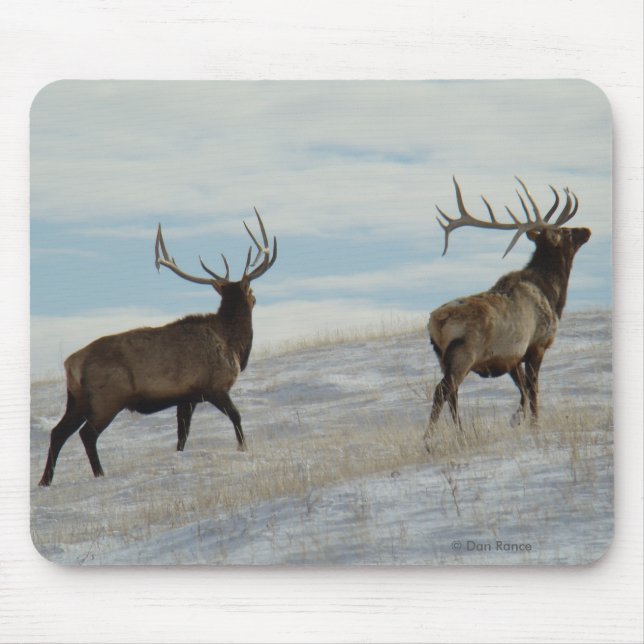 Mousepad Alces 13 afortunados Bull de E57 Bull (Frente)
