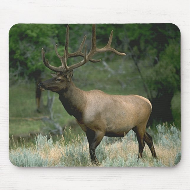 Mousepad Alces bonitos (Frente)