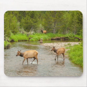 Mousepad Alces cruzando o rio Colorado