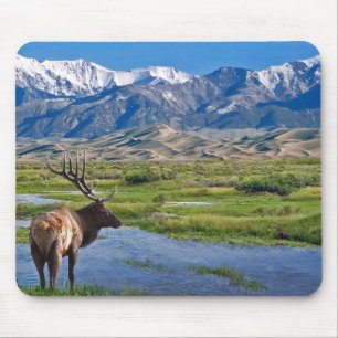 Mousepad Alces das montanhas rochosas de Colorado