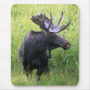 Mousepad Alces de Bull