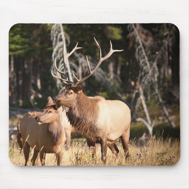 Mousepad Alces de Bull (Frente)