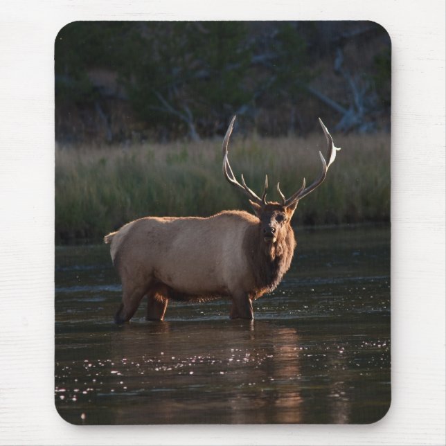 Mousepad Alces de Bull (Frente)