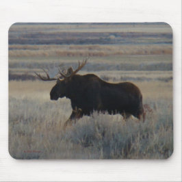 Mousepad Alces do M2 Bull