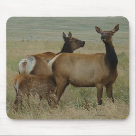 Mousepad Alces e vitela da vaca E61