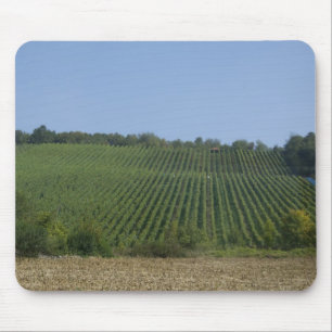 Mousepad Alemanha, Francônia, Rothenburg. Vista ao longo da