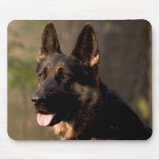 Mousepad Alemão Sheperd