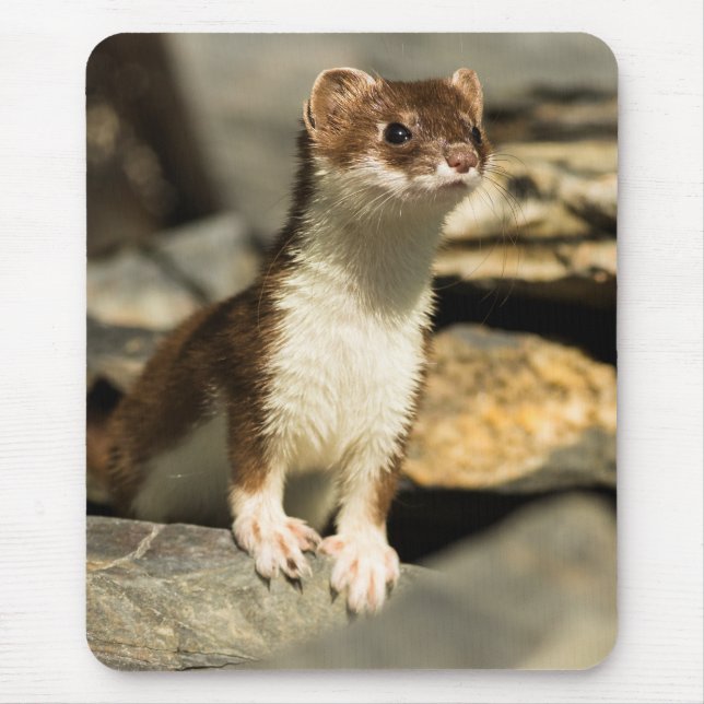Mousepad Alerta Weasel (Frente)