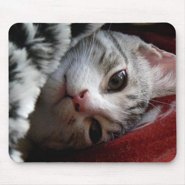 Mousepad Alfie (Frente)