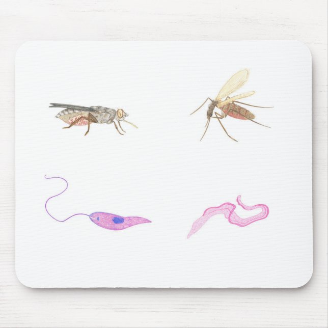 Mousepad Alfombrilla parasitología / Parasitology mat (Frente)