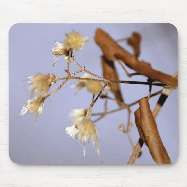 Mousepad algo (Frente)