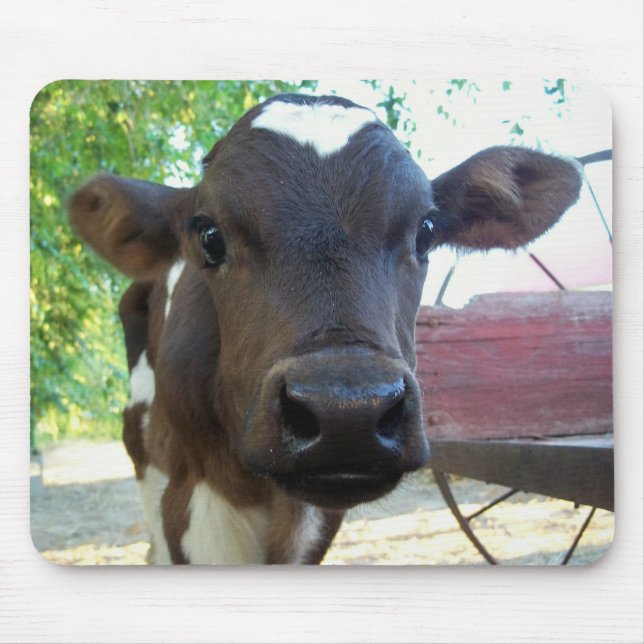 Mousepad Algodão (Frente)