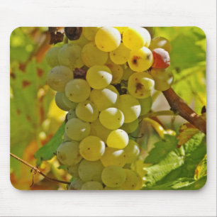 Mousepad Algumas Chasselas na vinha - plantadas há muito te