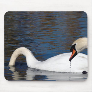 Mousepad Alimentação das cisnes