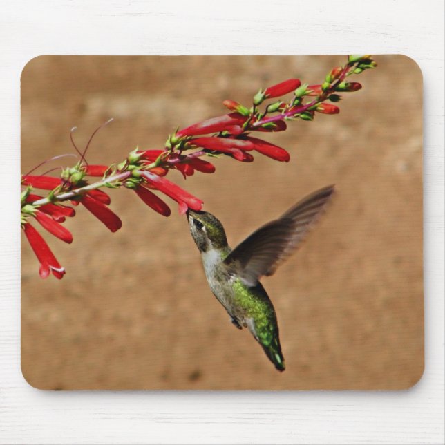 Mousepad Alimentação de beija-flor no Jardim (Frente)