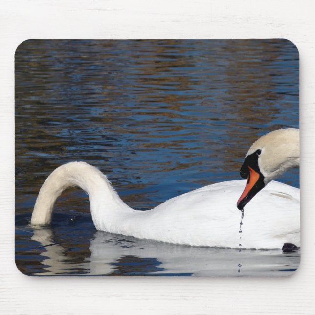 Mousepad Alimentação de Cisnes (Frente)