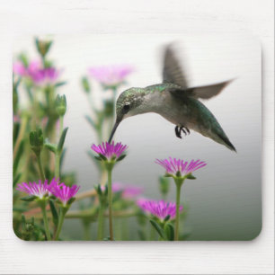 Mousepad Alimentação Hummingbird
