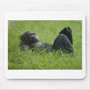 Mousepad Alivio de stress
