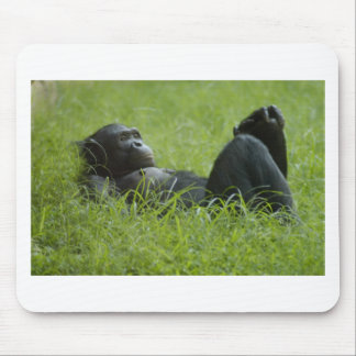 Mousepad Alivio de stress