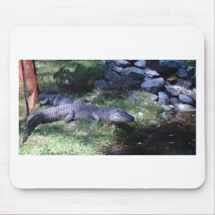 Mousepad Alligador! Design de Zoo