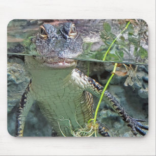 Mousepad Alligador No Pond