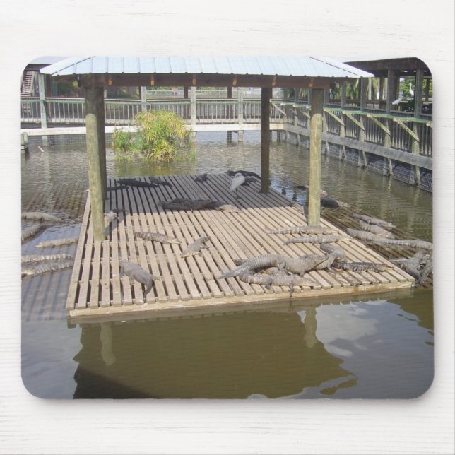 Mousepad Alligadores Deitados No Suporte Do Rato Solar (Frente)