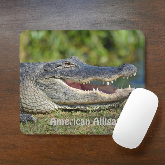 Mousepad Alligator americano (Criador carregado)
