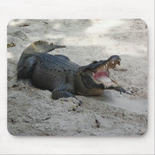 Mousepad Alligator, Fort Lauderdale, Flórida