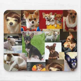 Mousepad almofada da chihuahua