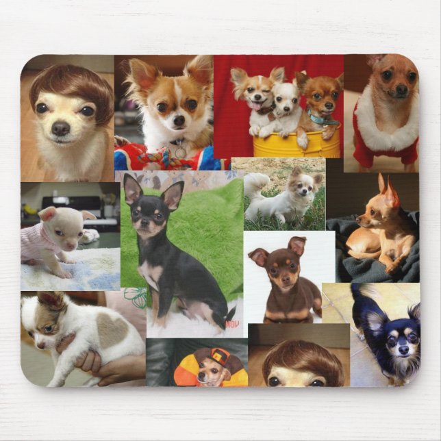 Mousepad almofada da chihuahua (Frente)
