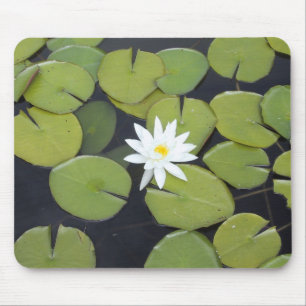 Mousepad Almofada de lírio branco