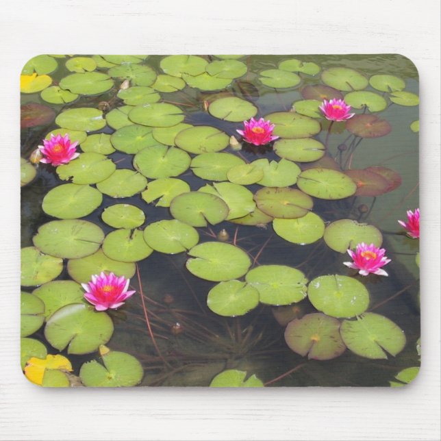 Mousepad almofada de lírio com flores cor-de-rosa (Frente)