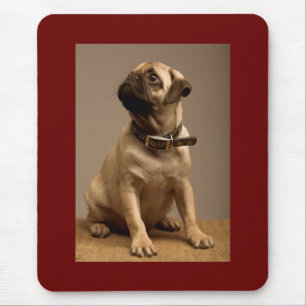 Mousepad Almofada de Rato de Cachorro Pug Marrom Amor