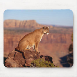Mousepad Almofada de Rato Leão da Montanha