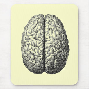 Mousepad Almofada do cérebro