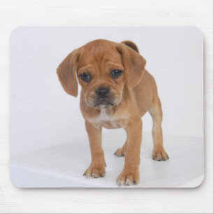 Mousepad Almofada do filhote de cachorro de Puggle