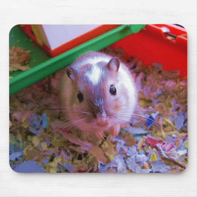 Mousepad Almofada do Gerbil (Frente)