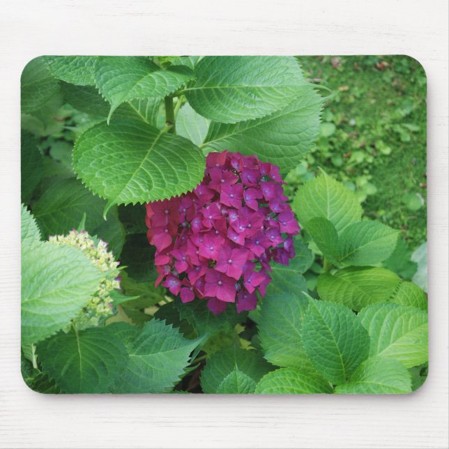 Mousepad Almofada do Hortensia (Frente)