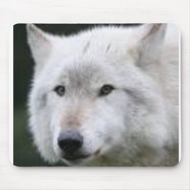 Mousepad almofada do lobo (Frente)