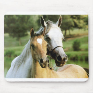 Mousepad Almofada do pônei