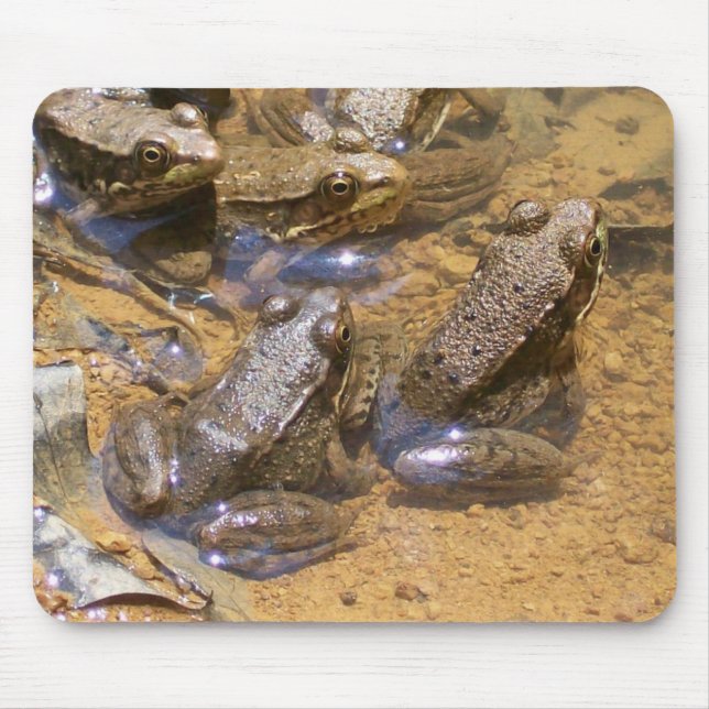 Mousepad almofada do sapo (Frente)