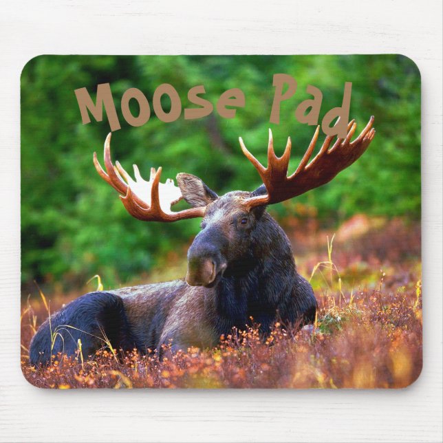 Mousepad Almofada dos alces (Frente)
