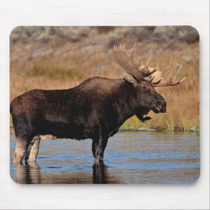 Mousepad Almofada dos alces