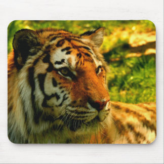 Mousepad Almofada dos tigres