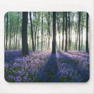 Mousepad Almofada-Floresta do rato