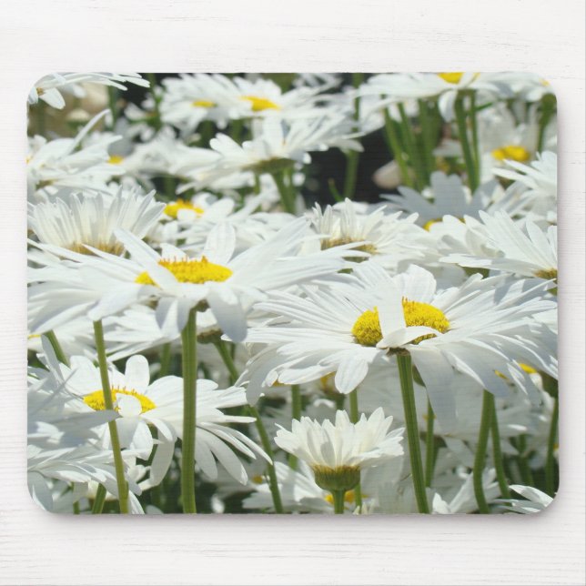 Mousepad Almofadas de rato Flores Margaridas Presentes Marg (Frente)