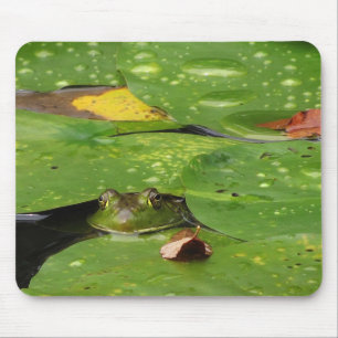 Mousepad Almofadas do sapo e de lírio