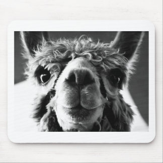 Mousepad Alpaca
