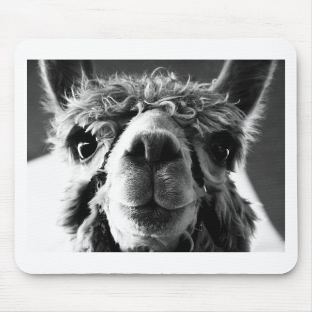 Mousepad Alpaca (Frente)